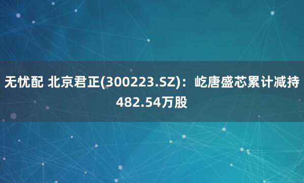 无忧配 北京君正(300223.SZ)：屹唐盛芯累计减持482.54万股