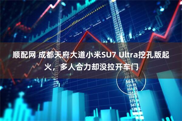 顺配网 成都天府大道小米SU7 Ultra挖孔版起火，多人合力却没拉开车门