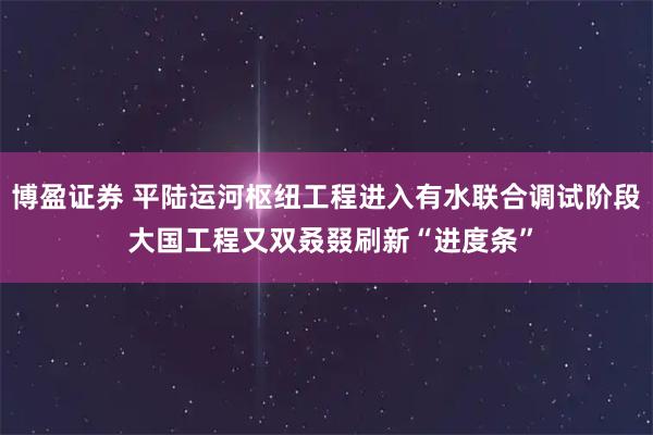 博盈证券 平陆运河枢纽工程进入有水联合调试阶段 大国工程又双叒叕刷新“进度条”